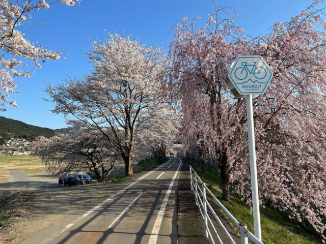 久慈川サイクリングロード🚴‍♂️🌸

#奥久慈街道 #塙町 #サイクリングロード #桜